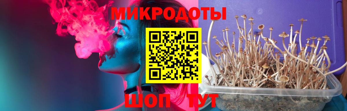 Наро-Фоминск  Галлюциногенные грибы Psilocybine cubensis  Вход с VPN  Псилоцибиновые грибы Magic Shrooms 